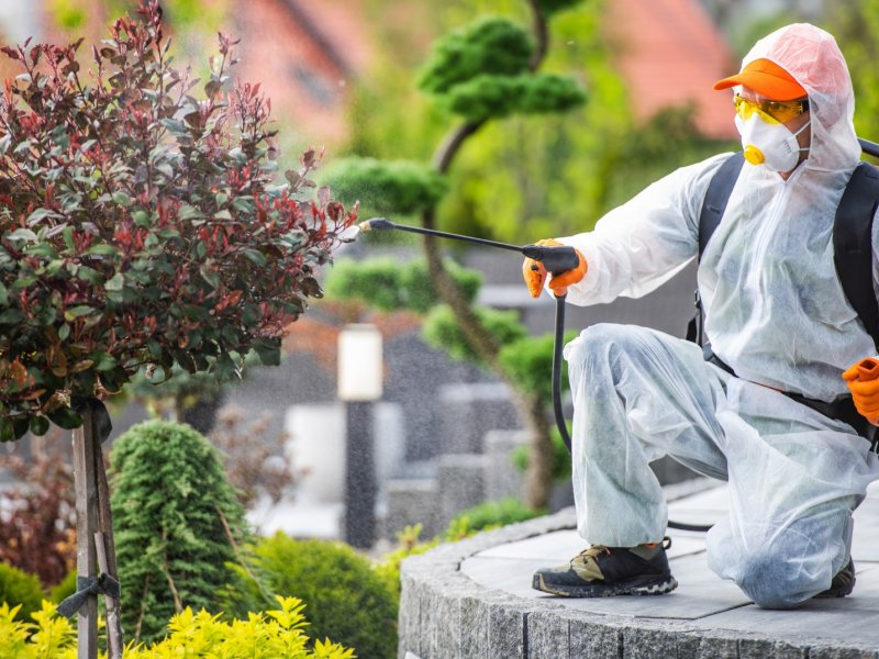 Poligon Haşere İlaçlama